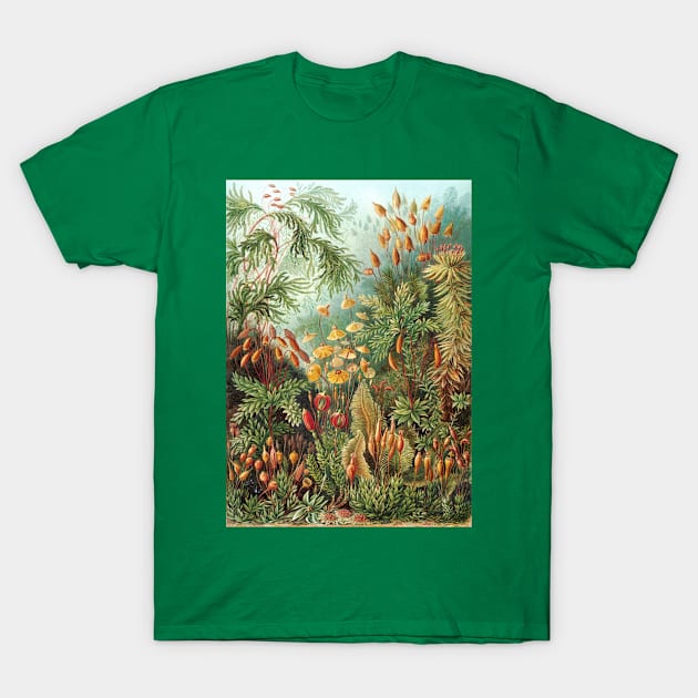 Vintage Colorful Tropical Plants in Blossom Paradise Garden T-Shirt by codeclothes